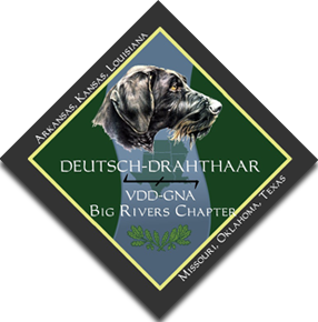 Deutsch Drahthaar